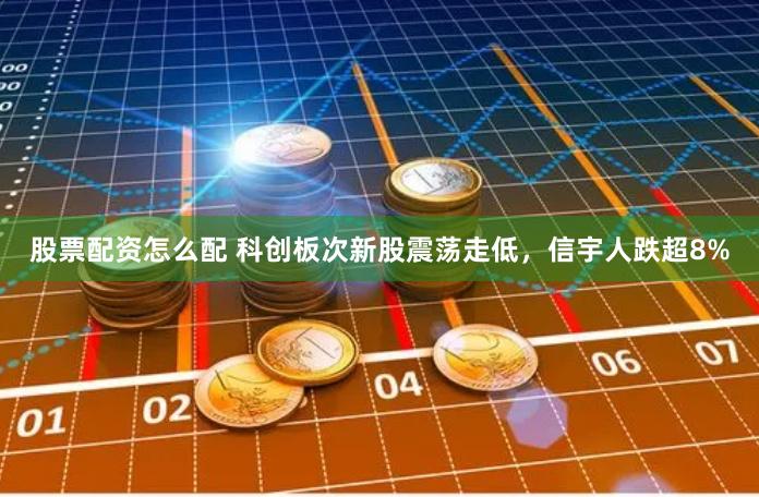 股票配资怎么配 科创板次新股震荡走低，信宇人跌超8%
