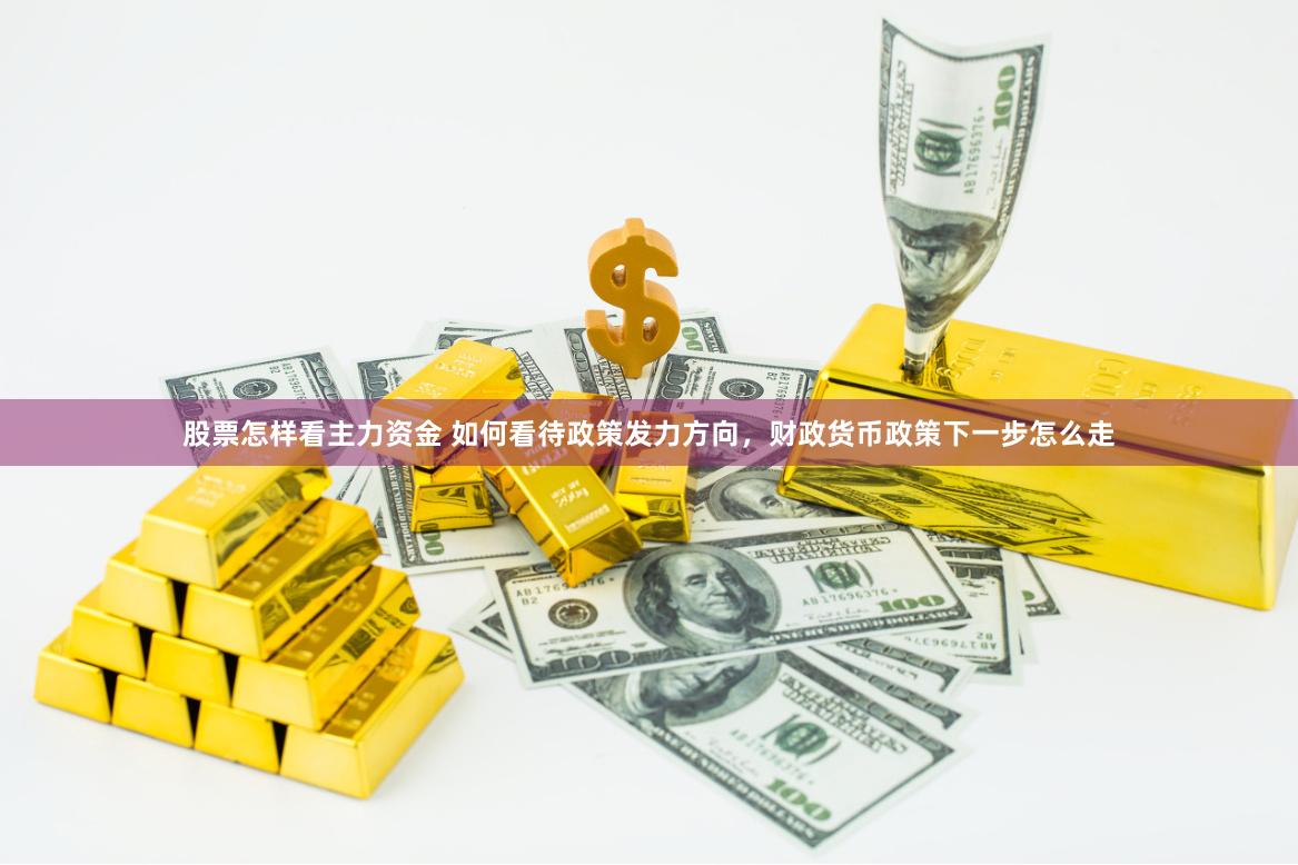 股票怎样看主力资金 如何看待政策发力方向，财政货币政策下一步怎么走