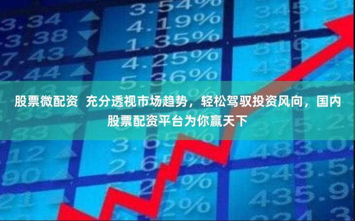 股票微配资  充分透视市场趋势，轻松驾驭投资风向，国内股票配资平台为你赢天下
