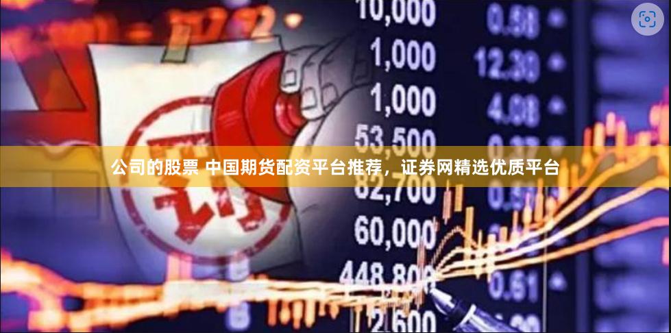 公司的股票 中国期货配资平台推荐，证券网精选优质平台